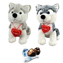 Idea San Valentino - Cane - Baci Perugina - Peluche