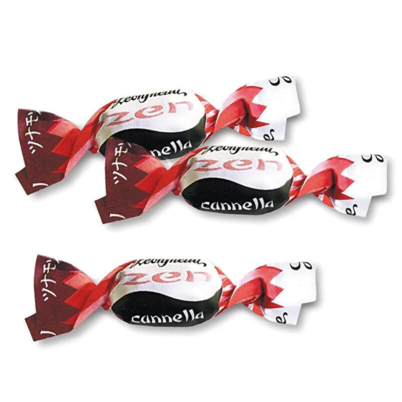 Caramelle Dure - Pastiglie Leone - Leonsnella - Cannella - Busta da 500 g