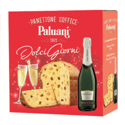 Strenne Paluani - Dolci Giorni - Panettone 750 gr + Spumante