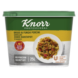 Brodo Knorr Professional - Brodo ai Funghi Porcini - 500 g