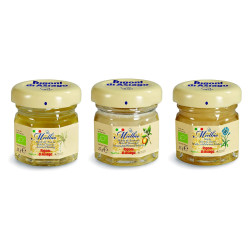 Rigoni di Asiago - MIele Biologico -  MielBio Monoporzione - Mix 3...