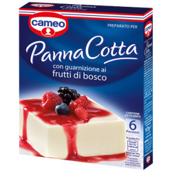 Panna Cotta Cameo - ai frutti di bosco - 107 gr