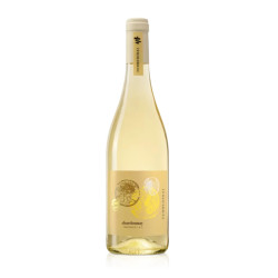 Vino Bianco - Terre di Rai - Chardonnay - Trevenezie IGT - 2024 -...