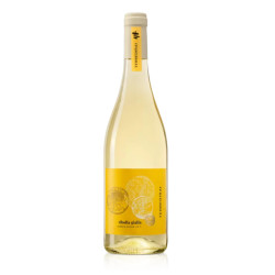 Vino Bianco - Terre di Rai - Ribolla Gialla - Venezia Giulia IGT - 2024 - 750 ml 