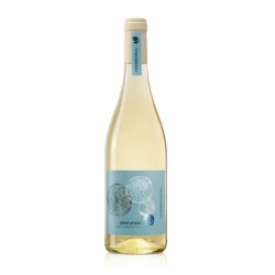 Vino Bianco - Terre di Rai - Pinot Grigio - Delle Venezie DOC -...