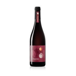 Vino Rosso - Terre di Rai - Cabernet Franc - Trevenezie IGT - 2023...