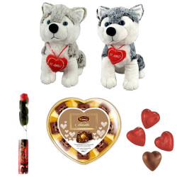 Idea San Valentino - Vero Amore - Cane Peluche